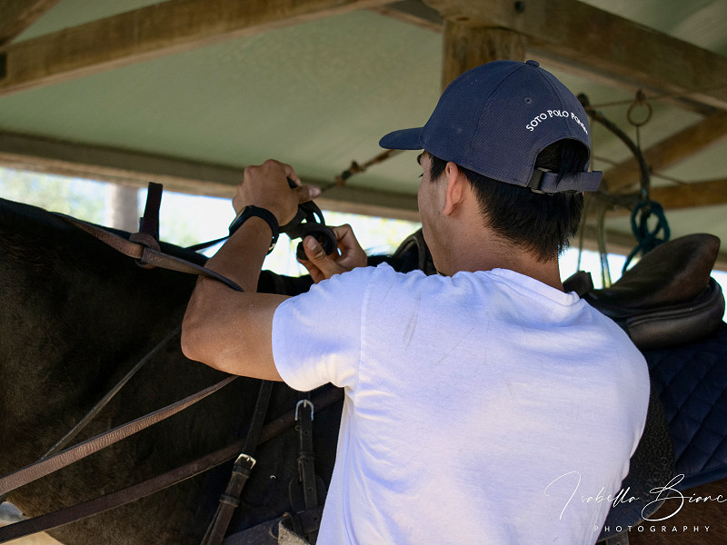 Sobre Nosotros | Soto Polo Ponies